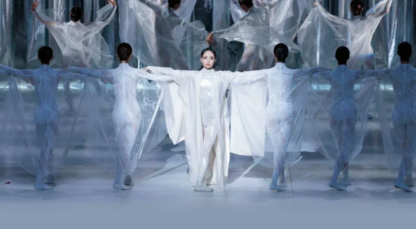 The Tokyo Ballet - Kaguyahime