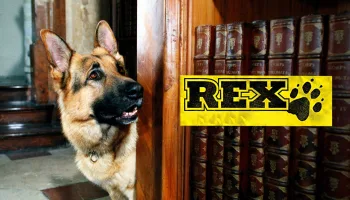 Rex, chien flic