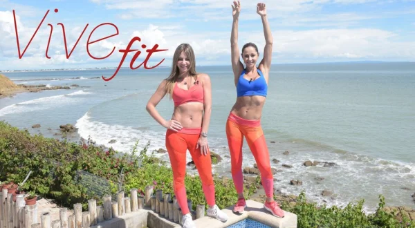 Vive Fit