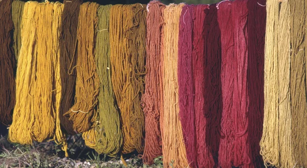 Tintes naturales con plantas. Tinción de tejidos de manera 100% tradicional