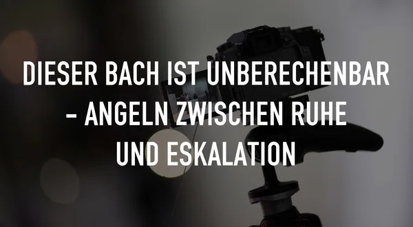 Dieser Bach ist unberechenbar - Angeln zwischen Ruhe und Eskalation