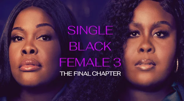 Single Black Female 3: The Final Chapter
