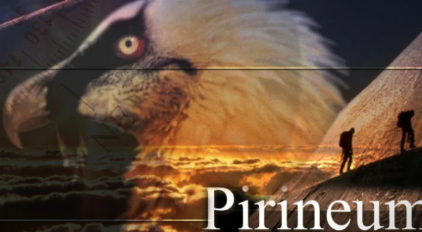 Pirineum