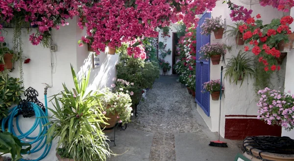 Córdoba, die Stadt der Patios