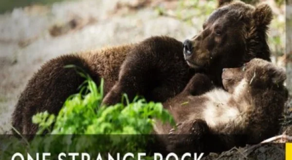 One Strange Rock