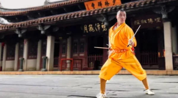 Kung Fu Wise