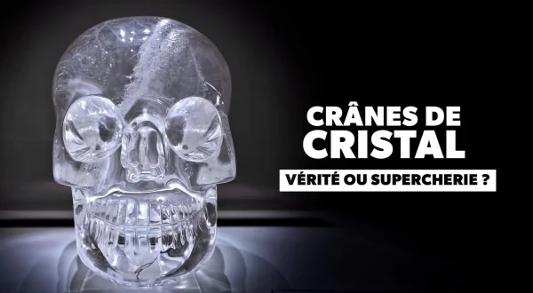 Crânes de cristal : vérité ou supercherie ?