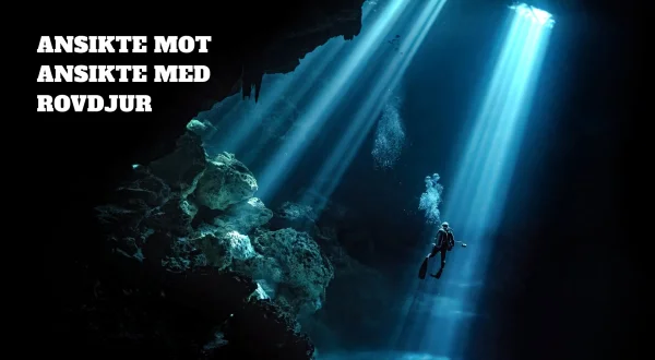 Ansigt til ansigt