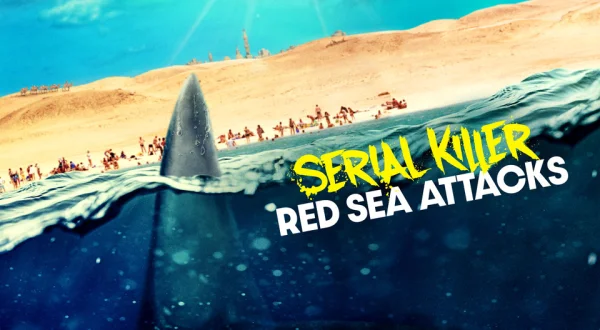 Serial: Killer: Red Sea Attacks