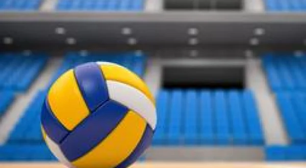 Volley-ball : le film des finales LNV