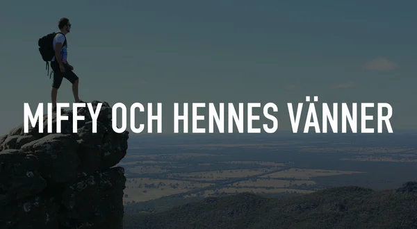 Miffy och hennes vänner