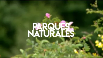 Lo mejor de parques naturales