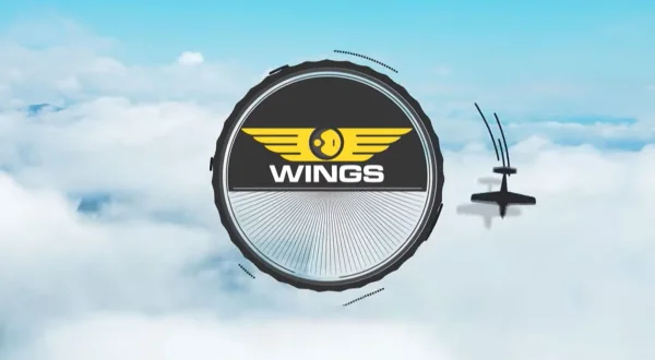 Wion Wings