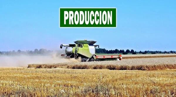 Producción