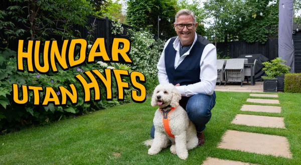 Hundar utan hyfs