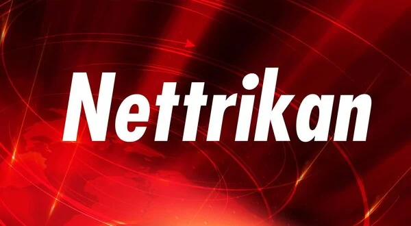 Nettrikan