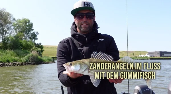 Zanderangeln im Fluss mit dem Gummifisch