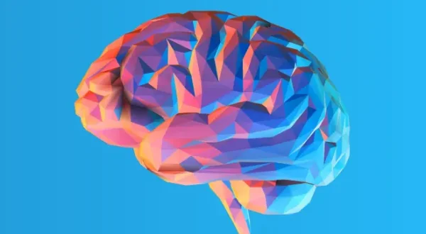 Valutazione neuropsicologica e neuroriabilitazione cognitiva