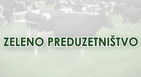 Zeleno preduzetništvo