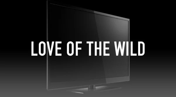 Love of the Wild
