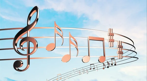 Muzički program