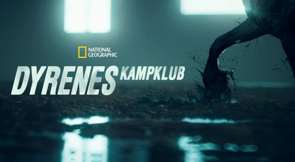 Dyrenes kampklub