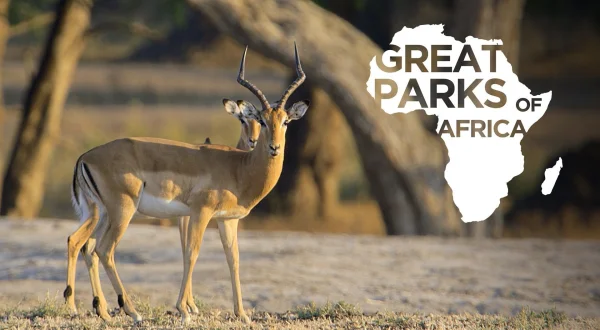 Great Parks of Africa
