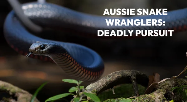 Aussie Snake Wranglers: Deadly Pursuit