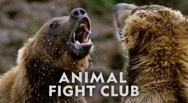 Animal Fight Club
