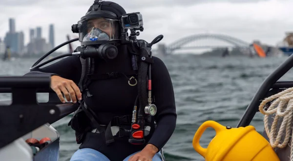 Εισβολή καρχαριών στο Σίδνεϊ | Sydney Harbour Shark Invasion