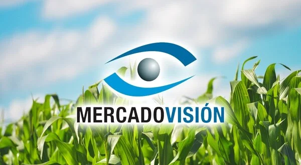 Mercado Visión