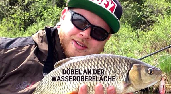 Döbel an der Wasseroberfläche