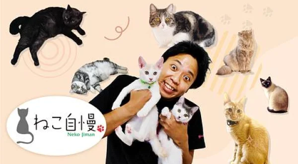 ねこ自慢： 出演：照英ほか(日)