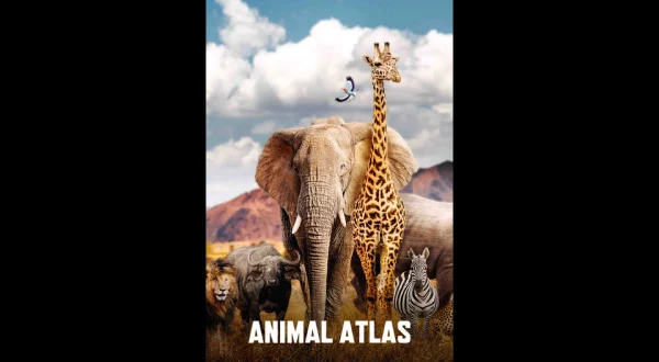 Animal Atlas