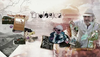 Enológica