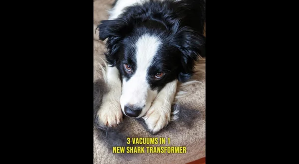 3 Vacuums in 1! NEW Shark Transformer!