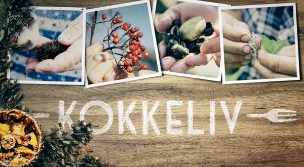 Kokkeliv