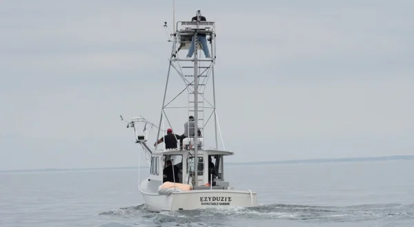 Harpoon Hunters