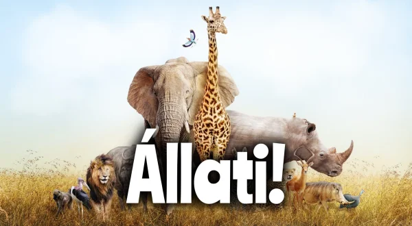 Állati!