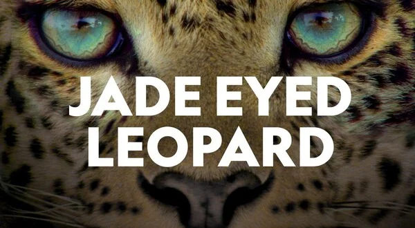 Jade Eyed Leopard