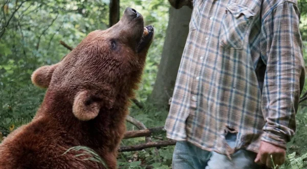 Project Grizzly