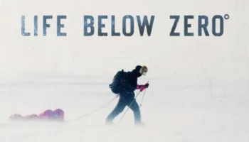 Vida Abaixo de Zero