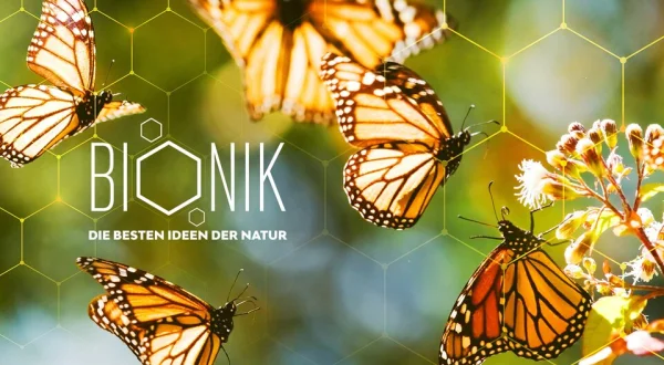 Bionik - Die Besten Ideen der Natur