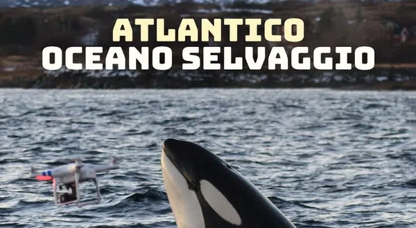 Atlantico: Oceano selvaggio