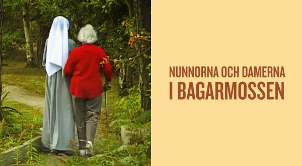 Nunnorna och damerna i Bagarmossen