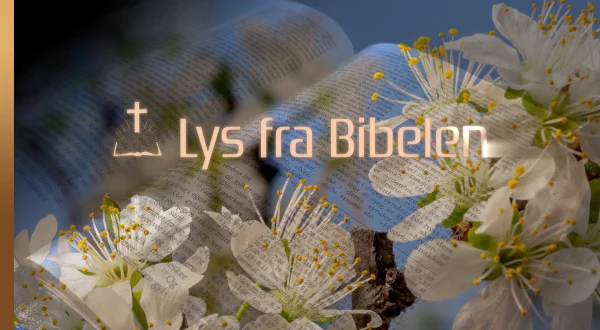 Lys fra Bibelen