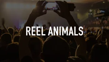 Reel Animals