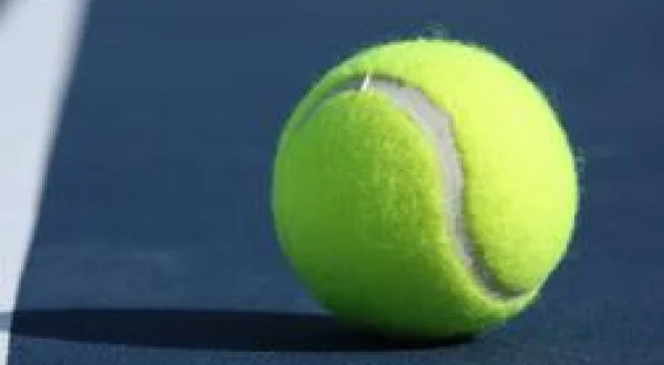 Tennis : Tournoi ATP de Vienne