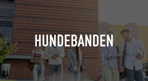 Hundebanden