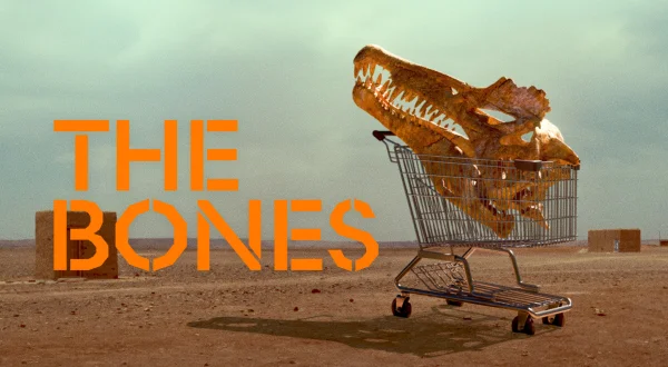 The Bones